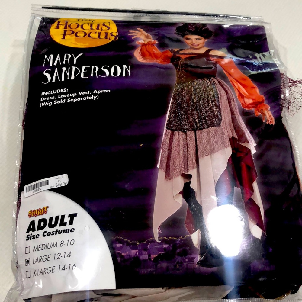 Mary Sanderson adult costume